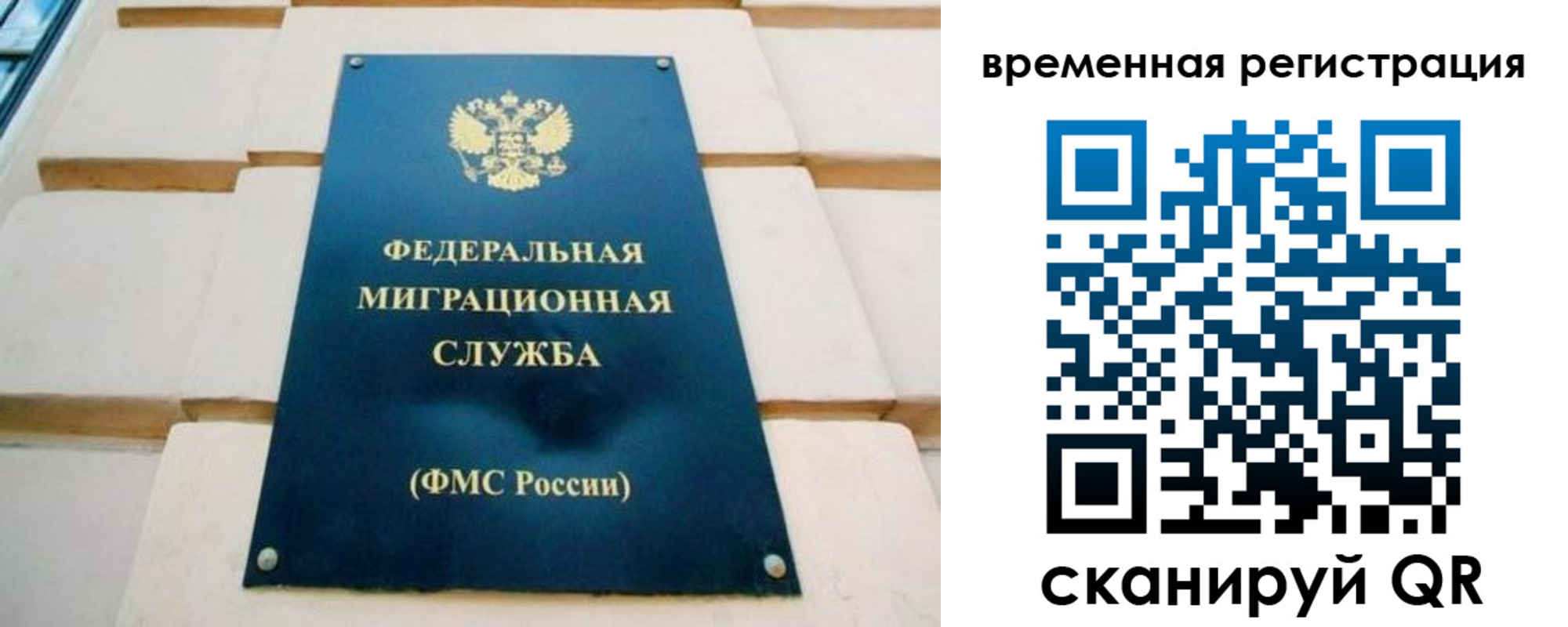 прописка гарантия в Кингисеппе